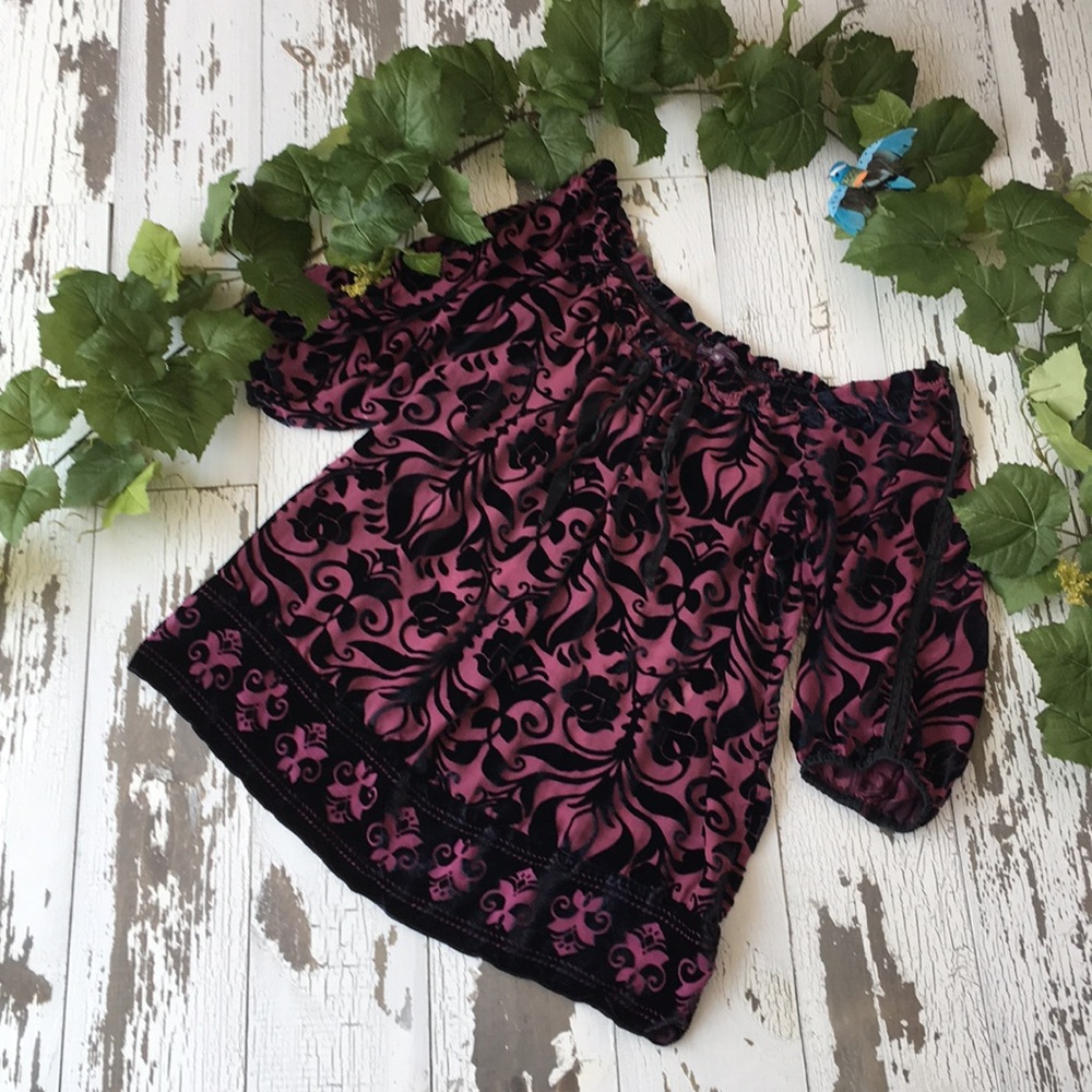 Hale Bob royal Purple burned velvet top